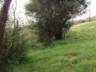  Nascosto con la bandiera sotto l'albero 